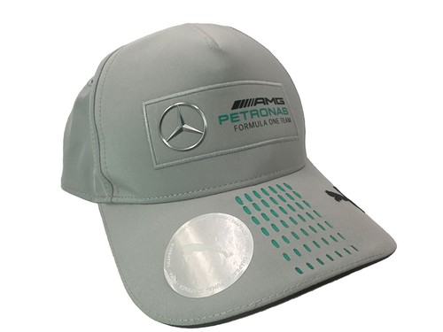 Mercedes amg petronas - petronas, team