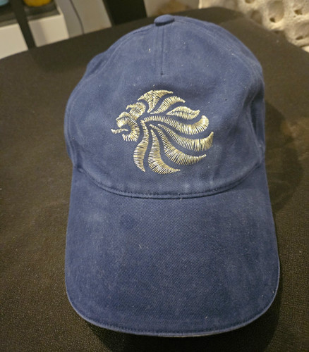 Team olympic baseball cap - team,